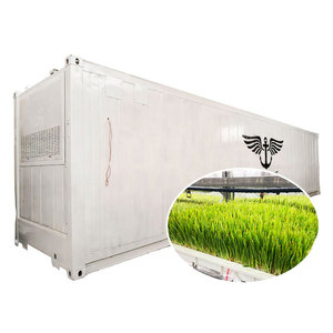 Conteneur automatique de germes de fourrage pour animaux de 1000kg/jour/système de culture d'orge hydroponique avec plateaux verts - Product Image 1