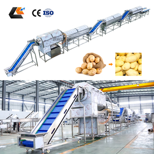 Máquina de lavado de rodillos <span class=keywords><strong>para</strong></span> longan, jengibre, albaricoques, tripas de res, tomates y verduras - Product Image 6