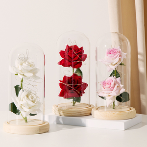 <span class=keywords><strong>Rose</strong></span> artificielle <span class=keywords><strong>de</strong></span> luxe sous cloche en verre, <span class=keywords><strong>rose</strong></span> éternelle, fleur séchée sous cloche en verre, cadeaux pour la fête des mères et la Saint-Valentin 2026 - Product Image 2