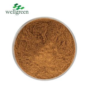 Wellgreen, оптовая продажа, чистый органический порошок Гималайский силаджит, экстракт Shilajit частной торговой марки - Product Image 2