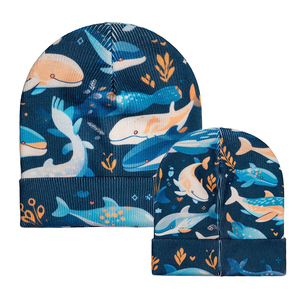 Cao Cấp <span class=keywords><strong>Satin</strong></span> Lót Beanies Còng Gân Beanies Với Biểu Tượng Tùy Chỉnh Đan Beanie - Product Image 1