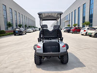 Lifted Off Road Diesel Golf Buggy 2 Seater Battery Operated Utility Cart for Industrial Park Theme Park Resort Maintenance Work