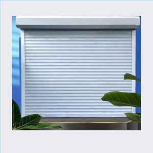 Puerta de Garaje Enrollable Lateral Antirrobo de Vidrio, Puerta Lateral Eléctrica para Supermercado, Diseño Moderno Personalizado de Aleación de Aluminio y Acero - Product Image 1