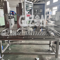 Remplisseur de jerrican liquide avec machine de capsulage pour machine de remplissage de détergent à lessive et machine d'emballage chimique
