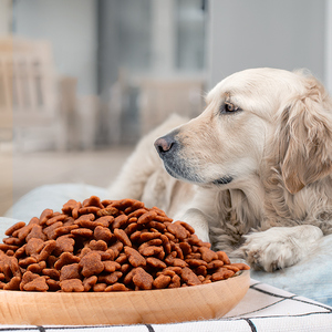 Échantillon gratuit d'aliments pour animaux de compagnie Grossistes <span class=keywords><strong>halal</strong></span> Lyophilisés Gain de poids Spécial aliments secs pour chats et chiens - Product Image 5