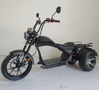 Triciclo Eléctrico Plegable Loyal Fashion con Batería de Litio Extraíble, GPS, Resistente al Agua, Alcance de 60-100 km, 3 Ruedas
