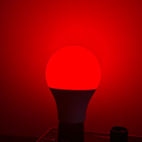 Ampoules LED à spectre complet 3/5/7/9/12W A19 E26 E27 B22 E14, mode jour/nuit, 3 réglages, anti-lumière bleue, pour chambre à coucher intérieure