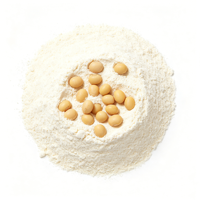 Poudre de protéines de soja naturelle en gros, protéines végétales de soja pour la formulation d'aliments fonctionnels et de compléments alimentaires