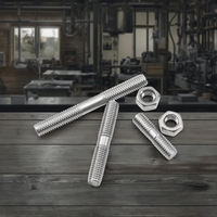 Attaches à tige filetée à double tête en acier inoxydable 304/316 avec finition en zinc M8 M12 M16 M20 Boulons à vis double face