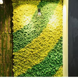 थोक सदाबहार काई अनन्त ग्रीन के लिए स्थिर काई असली प्राकृतिक संरक्षित काई पैनल दीवार सजावट - Product Image 4