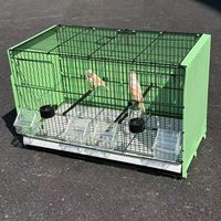 Cage d'élevage commerciale en métal pour oiseaux avec séparateur, grande cage à oiseaux pour fermes d'élevage, vente en gros de haute qualité depuis la Chine