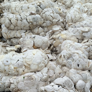 ถ้วยก้อนยางธรรมชาติผลิตในเวียดนามสำหรับผลิตภัณฑ์ยางหลากหลายชนิด - Product Image 1