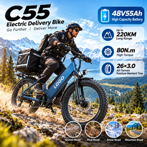 Bicicleta Eléctrica C55 para Entrega de Última Milla, Batería de 48V55Ah, Bicicleta Eléctrica de Carga, Personalización OEM ODM - Product Image 1