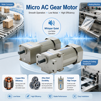 Motorreductor de CA micro para equipo de plegado de cartón, codificación por inyección de tinta y bobinado, reductor de precisión con aumento de par y carcasa de aluminio