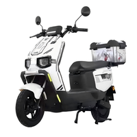 Moto électrique urbaine tendance pour adultes, cyclomoteur à deux roues, moteur 1500W, pneus anti-explosion, batterie au plomb-acide, autonomie 50-160 km