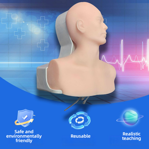 Modèle d'entraînement en silicone pour le cou et le torse, pour la pratique de la cathétérisme veineux central guidé par échographie, destiné à l'apprentissage des compétences chirurgicales - Product Image 5
