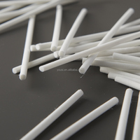 Bâtonnets diffuseurs en fibre de polyester blancs 100 % écologiques et biodégradables, en vrac, taille personnalisable, pour la maison, le bureau, la voiture, l'hôtel, 2-10 mm