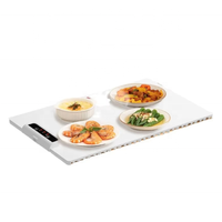 Faltbare Lebensmittel wärmer matte mit einstellbarer Temperatur Elektrische Heiz schale Silikon Schnelle Heizung für Heim buffets Restaurants
