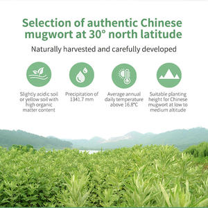 Parche para Pies de Efebré y Jengibre para Disipar el Frío, Eliminar la Humedad, Desintoxicar y Promover la Circulación Sanguínea - Product Image 5