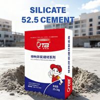 Ciment Portland de haute qualité de la marque JTB, 525 g, à séchage rapide, pour drain mural et de sol, résistant à la moisissure, imperméable, usage domestique, 52,5