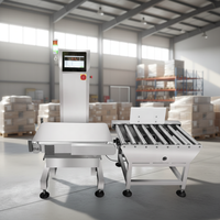 Báscula de Control de Peso para Cajas Grandes, Máquina de Pesaje de Discrepancia de Peso, Báscula Digital con Pantalla LCD, Báscula de Banda Transportadora OEM, Precisión de 0.01g