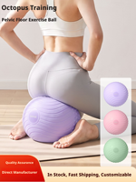 Ballon de Pilates Mini en PVC de Haute Qualité 25cm Antidérapant pour Renforcement du Core, Tonification des Fessiers, Barre et Yoga, Entraînement à Domicile