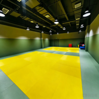 Tapete de Judo Encastrable de Alta Densidad, Espuma EVA, Tatami, Tapete de Ejercicio Antideslizante para Artes Marciales, MMA, Dojo, Gimnasia y Entrenamiento