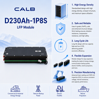 Module CALB D230AH-1P8S 25.6V 230Ah LiFePO4 5.88kWh Seulement 36.2kg 162Wh/kg Haute énergie Conception légère