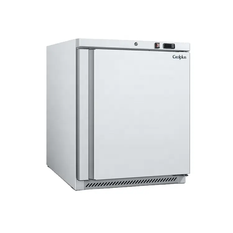 Venta Industrial 200L Refrigerador de nevera de acero inoxidable Mini Frigo Congelador pequeño
