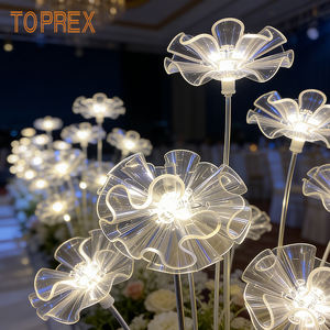 Expédition rapide, en stock : Guirlande lumineuse d'intérieur 1,7 m, 10 fleurs, blanc chaud, à brancher, décorative, pour fêtes, mariages et décoration intérieure - Product Image 1