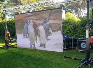 Pantalla LED de 5m x 3m con Relación de Aspecto 16:9, Sistema Completo Llave en Mano, Panel LED P2.6 P2.9 P3.91 de 500mm x 500mm, Fondo de Pantalla LED para Interiores y Exteriores - Product Image 3