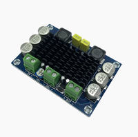 Carte amplificateur numérique mono XH-M542 100W TPA3116 12-26V carte amplificateur Audio numérique XH-M542