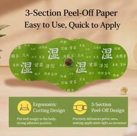Patch Minceur Ventre Plat pour Brûler la Graisse Abdominale et Affiner la Taille – Patch Amincissant aux Extraits Naturels