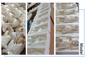 Wissenschaftliches Lehrmittel, 85 cm, das menschliche Skelett, Gefäße und Nerven, Anatomie-Modell, Lehrmittel - Product Image 5