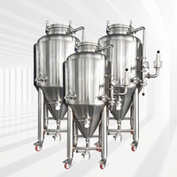 Cuve de Fermentation Conique Micro de 100L à Chemise Chauffante, Fermenteur à Bas Prix Personnalisable, Équipement de Fermentation de Bière pour Microbrasserie et Brewpub