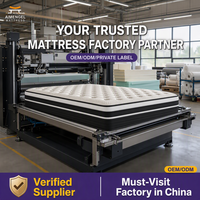 Matelas à ressorts ensachés de qualité supérieure, soutien orthopédique, enroulable, tissu en coton respirant, épaisseur 30 cm, garantie 10 ans, chambre à coucher