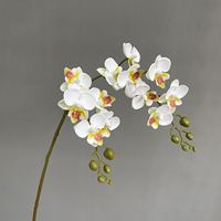 Tanaman Anggrek Buatan HGA Wholesale, Phalaenopsis Palsu dengan Buah untuk Dekorasi Vas di Lobi Hotel dan Ruang Tamu