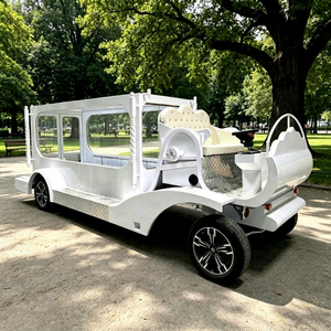 Carro Fúnebre Eléctrico de Lujo Zhenda Vintage en Venta, Estructura de Acero Blanco Antiguo de Alta Calidad con 1 Año de Garantía - Product Image 1