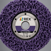 Disque abrasif REX en carbure de silicium 115x22,2 mm (4,5 pouces) certifié TUV ISO pour le décapage de la rouille et de la peinture