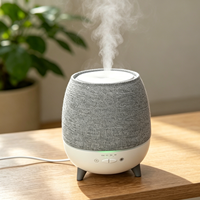 Télécommande 300ml humidificateur d'air ultrasonique Textile purificateur diffuseur d'arôme diffuseur d'huile pour la maison bureau Yoga