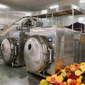 Lyophilisateur industriel de 100 à 200 kg pour la production pilote alimentaire - Product Image 2