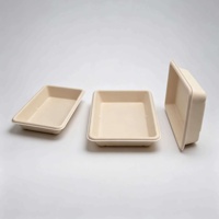 Plateau en bagasse de canne à sucre jetable, compostable et biodégradable pour barbecue, traiteur, vaisselle écologique, vente en gros