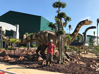 Modèle de dinosaure t-rex géant étanche et réaliste à vendre modèle animal de simulation de dinosaure