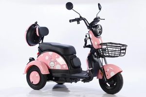 Trottinette électrique à vitesse unique 48V 600W, cadre en acier à haute teneur en carbone, capacité de transport de passagers et de marchandises jusqu'à 200 kg - Product Image 5