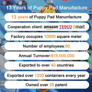 Tapete de Entrenamiento Electrónico para Cachorros, Tapete de Viaje para Mascotas, Tapete de Baño para Perros, Tapete Absorbente para Perros, Tapete de Entrenamiento para Mascotas en Interiores - Product Image 3