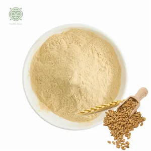 Nanqiao bubuk ekstrak tanaman Malt Barley alami organik bubuk bening dan kaya rasa untuk bir minuman Soda karbon ekstrak Malt