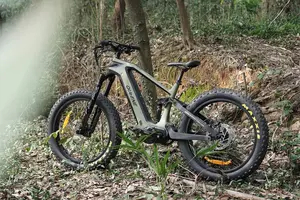 Queene 1000W Bafang Ultra M620 Electric Fat Hybrid Ebike Mid Drive G510 Frame Full Suspension Electric Mountain Bike