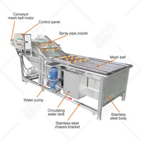 Mijn Lavadora De Burbujas De Frutas Y Verduras Industrie Fruitreiniger Machine Groente Mango Wasmachine Prijs