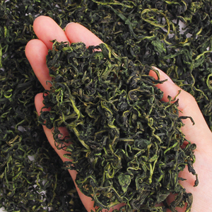 Thé de racine de pissenlit de qualité supérieure, <span class=keywords><strong>diurétique</strong></span> naturel, détoxifiant pour le foie, <span class=keywords><strong>tisane</strong></span> de Taraxacum pour compléments alimentaires - Product Image 3