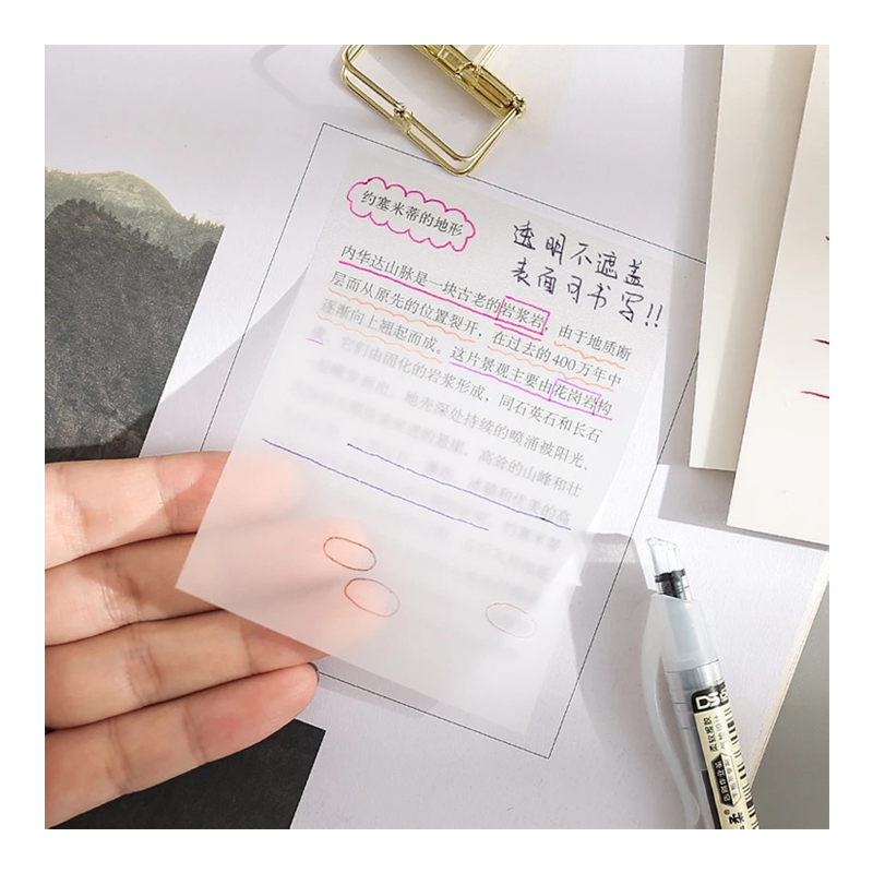 Водонепроницаемая прозрачная бумага для заметок для домашних животных, 50 листов, наклейка для заметок ежедневно, проверить список, школьные канцелярские принадлежности, Симпатичные липкие вкладыши